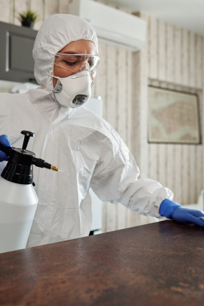 mold remediation