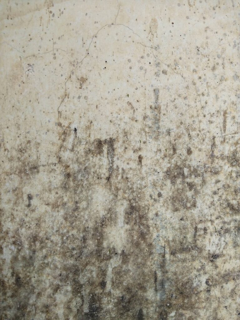 mold exposure